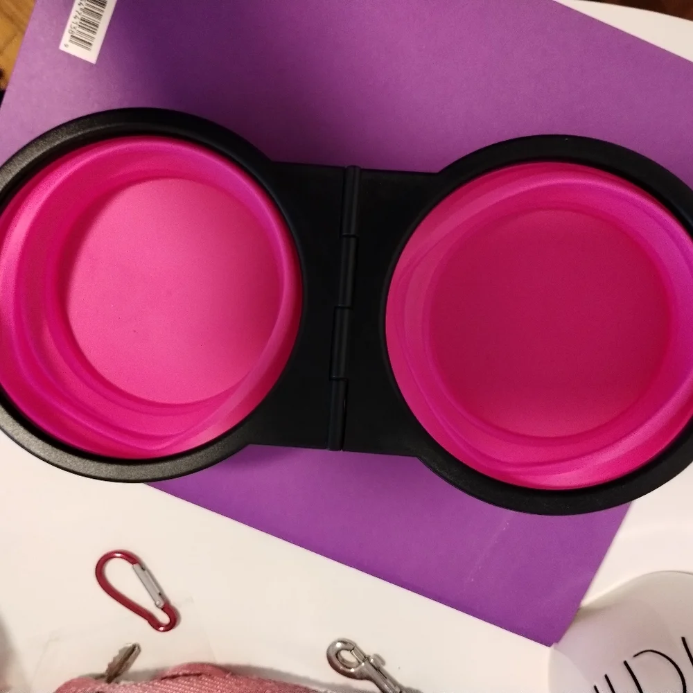 Collapsible double pet bowl